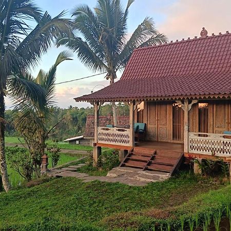D'Ume Bendoel Homestay Jatiluwih Zewnętrze zdjęcie