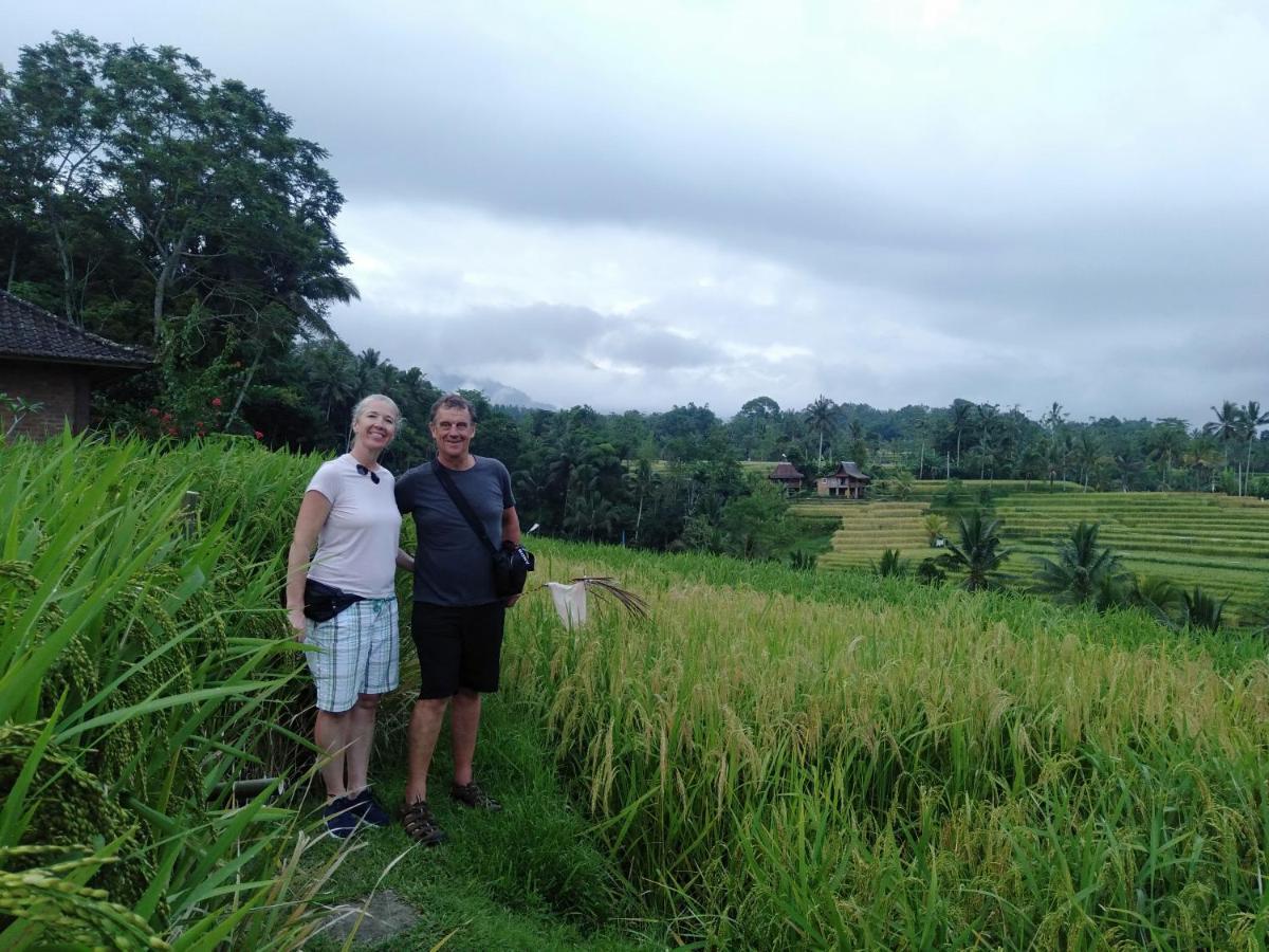 D'Ume Bendoel Homestay Jatiluwih Zewnętrze zdjęcie