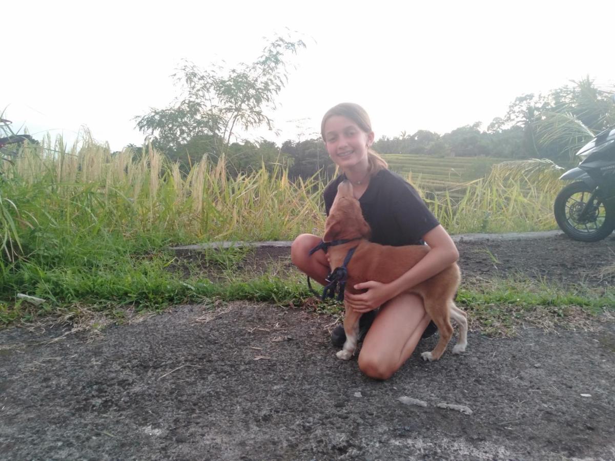 D'Ume Bendoel Homestay Jatiluwih Zewnętrze zdjęcie