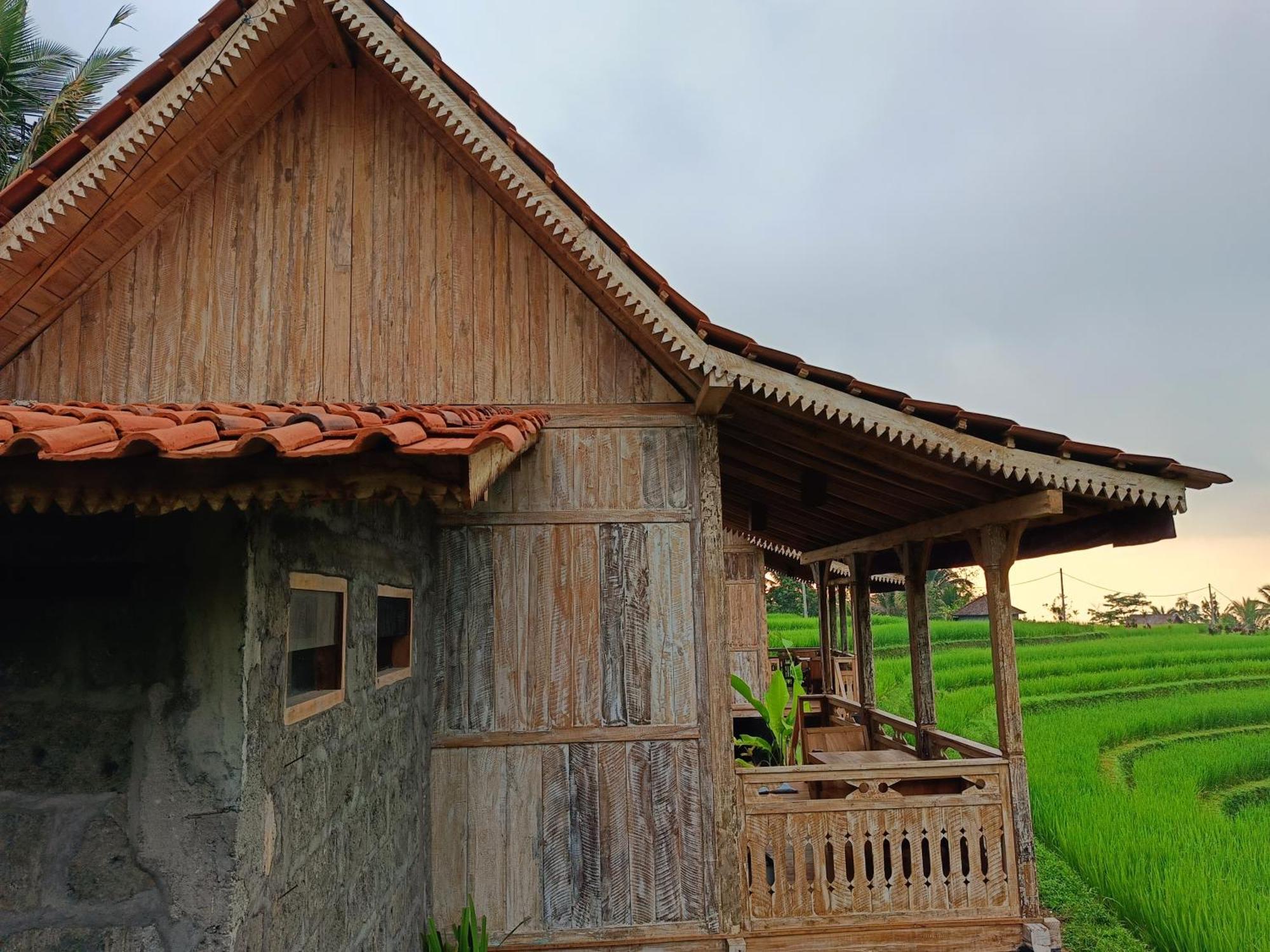 D'Ume Bendoel Homestay Jatiluwih Zewnętrze zdjęcie
