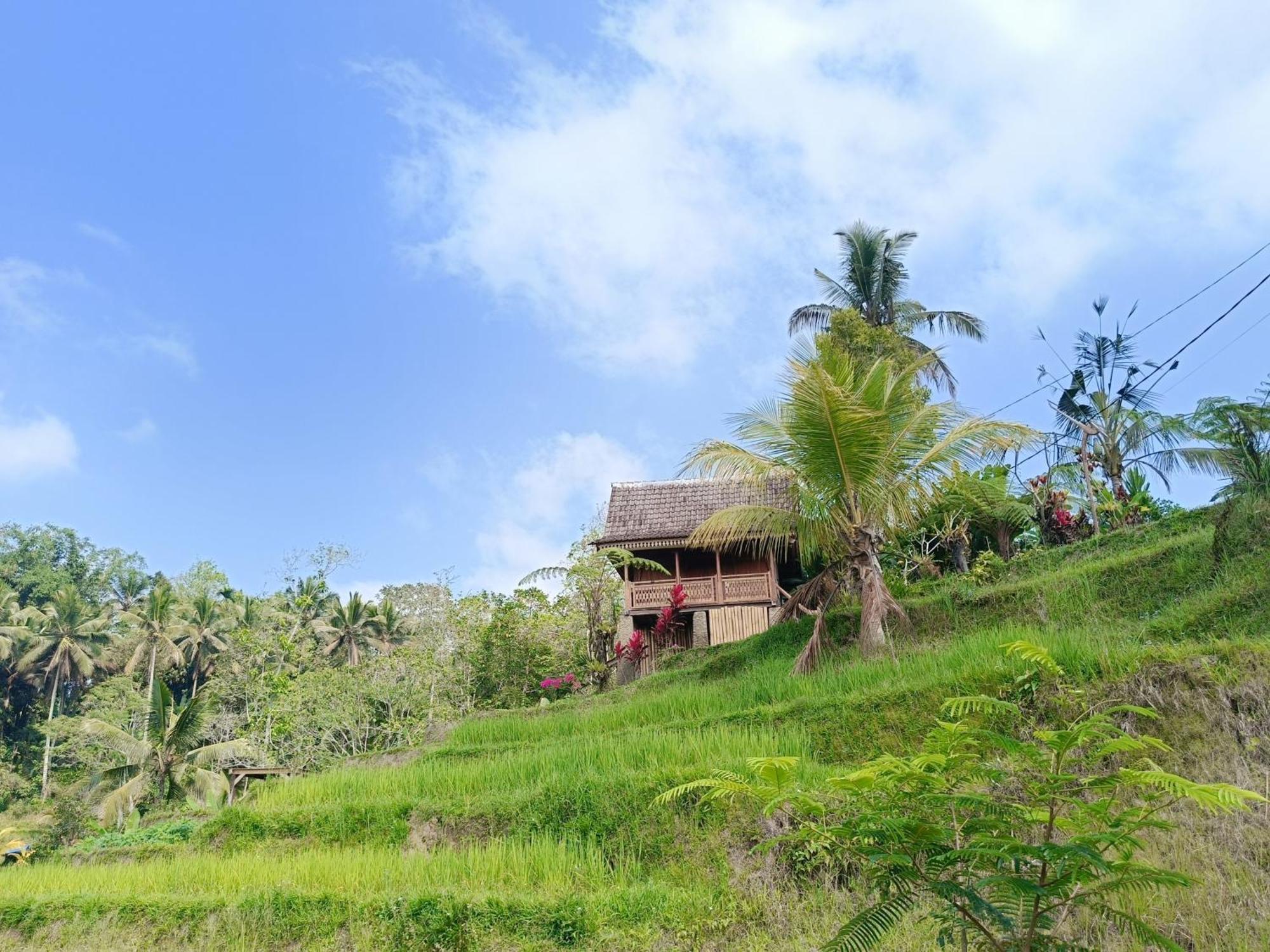 D'Ume Bendoel Homestay Jatiluwih Zewnętrze zdjęcie