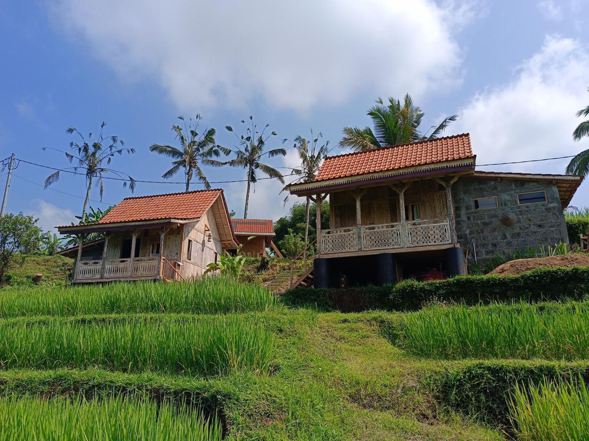D'Ume Bendoel Homestay Jatiluwih Zewnętrze zdjęcie