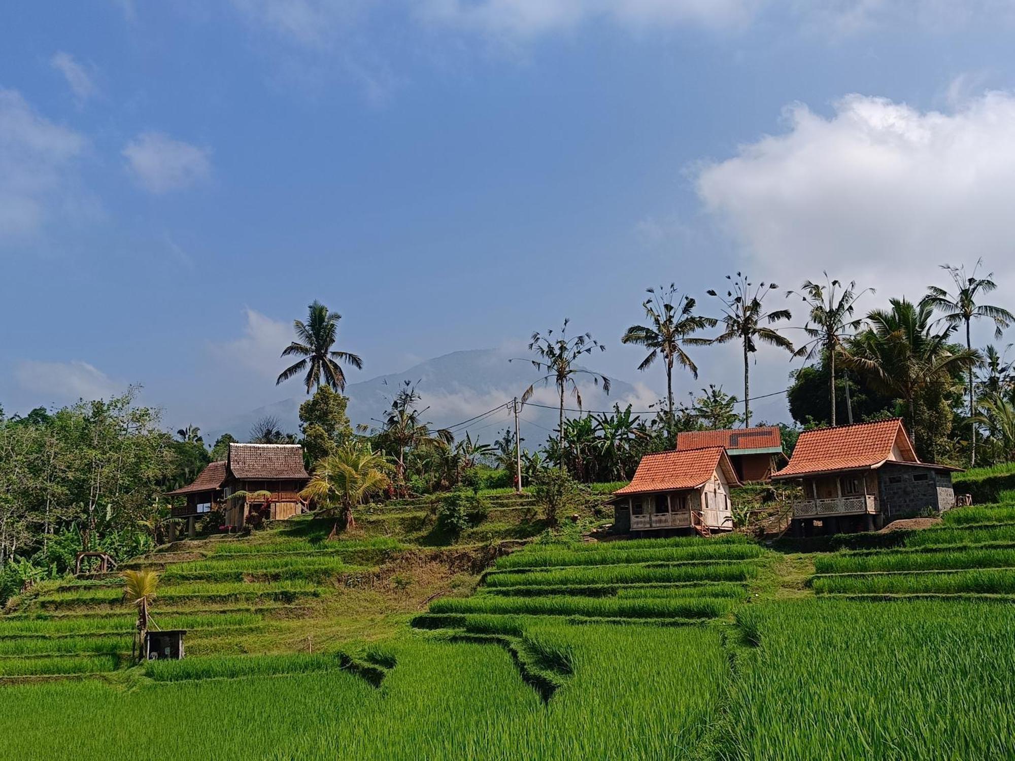 D'Ume Bendoel Homestay Jatiluwih Zewnętrze zdjęcie
