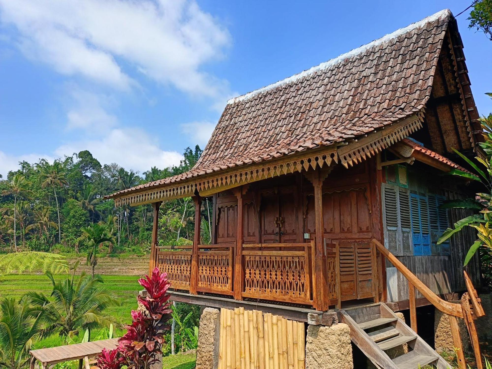 D'Ume Bendoel Homestay Jatiluwih Zewnętrze zdjęcie