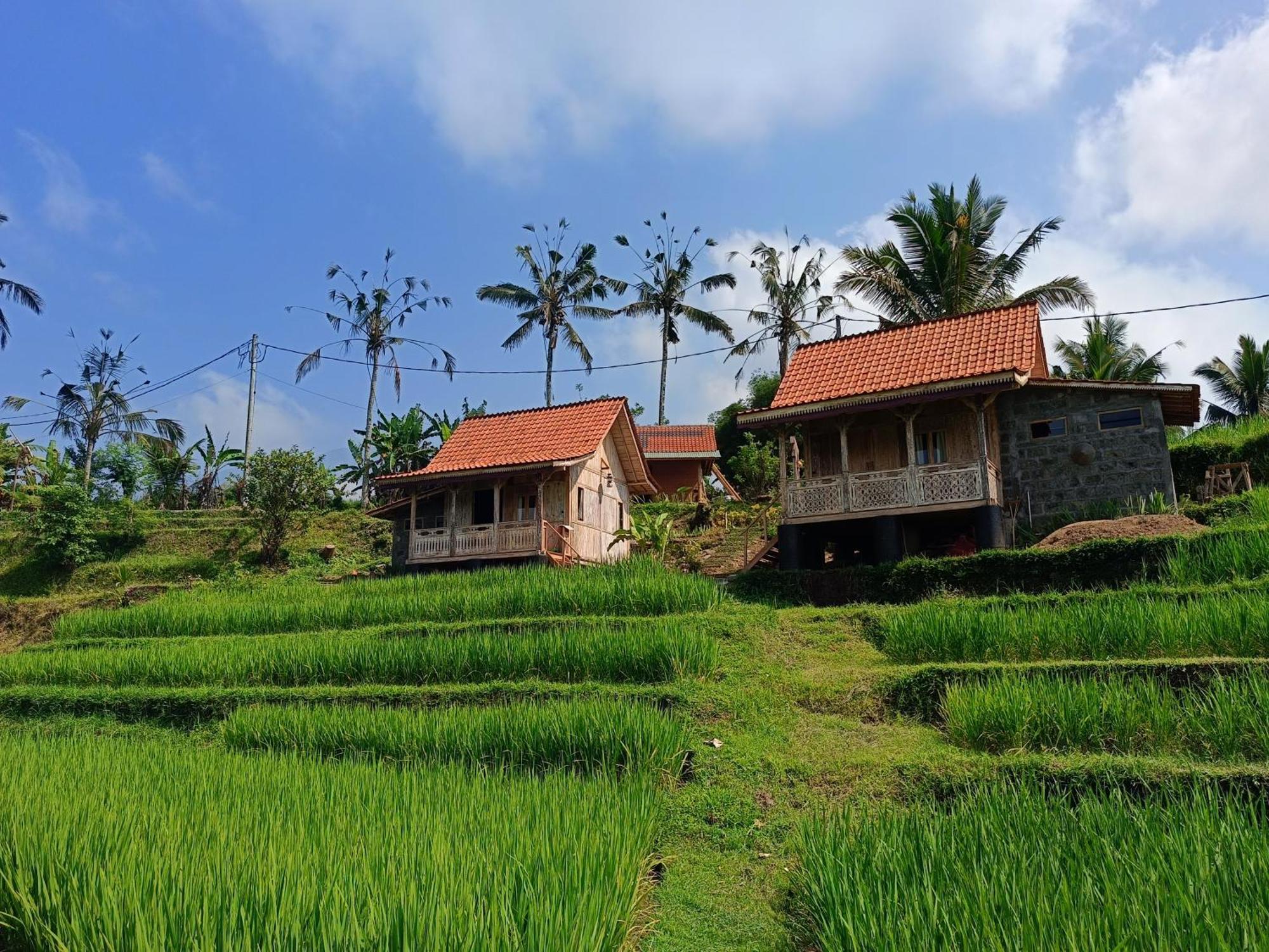 D'Ume Bendoel Homestay Jatiluwih Zewnętrze zdjęcie
