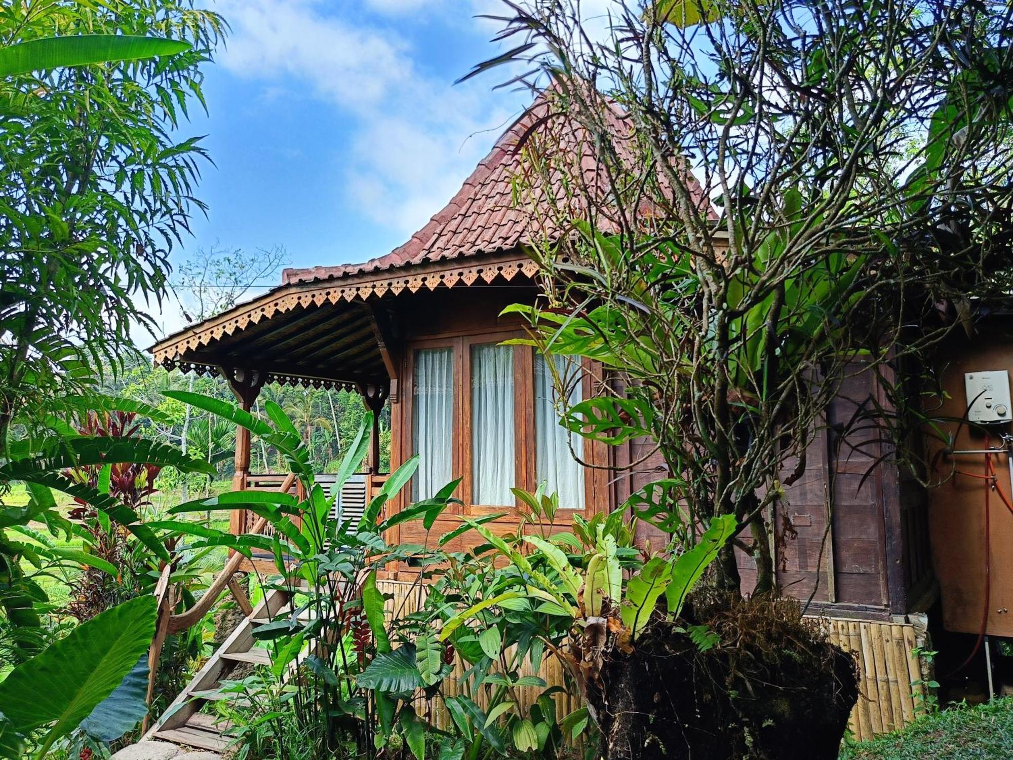 D'Ume Bendoel Homestay Jatiluwih Zewnętrze zdjęcie