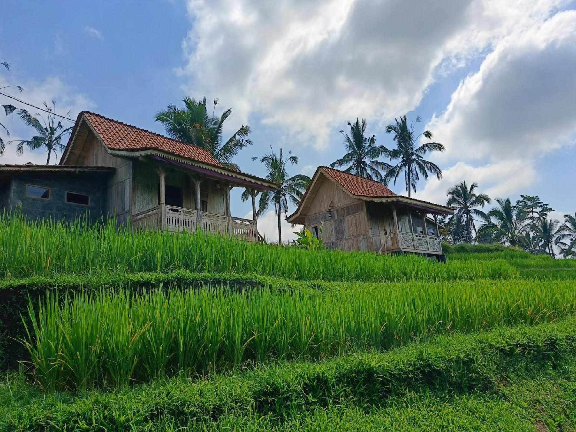 D'Ume Bendoel Homestay Jatiluwih Zewnętrze zdjęcie