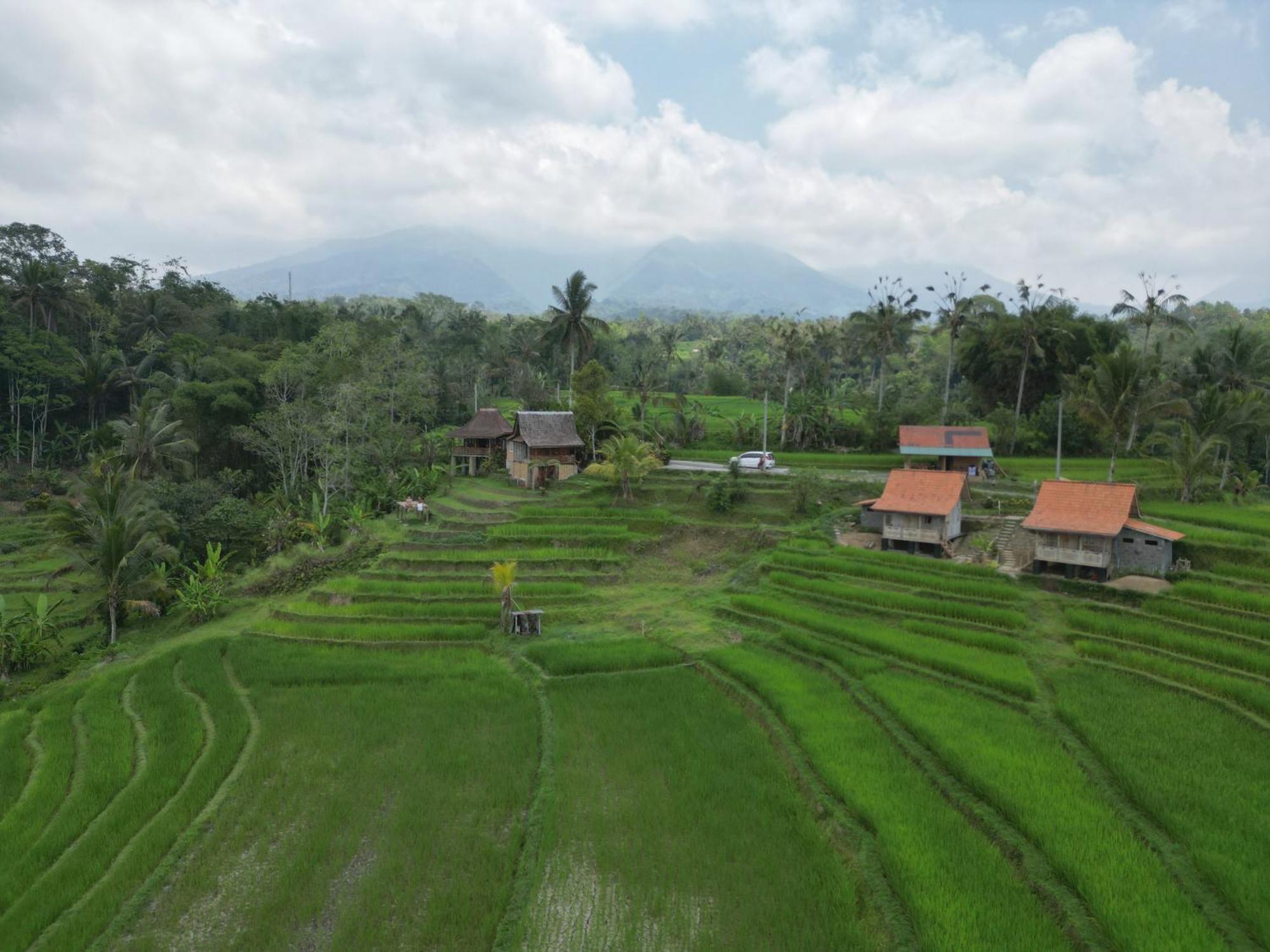 D'Ume Bendoel Homestay Jatiluwih Pokój zdjęcie