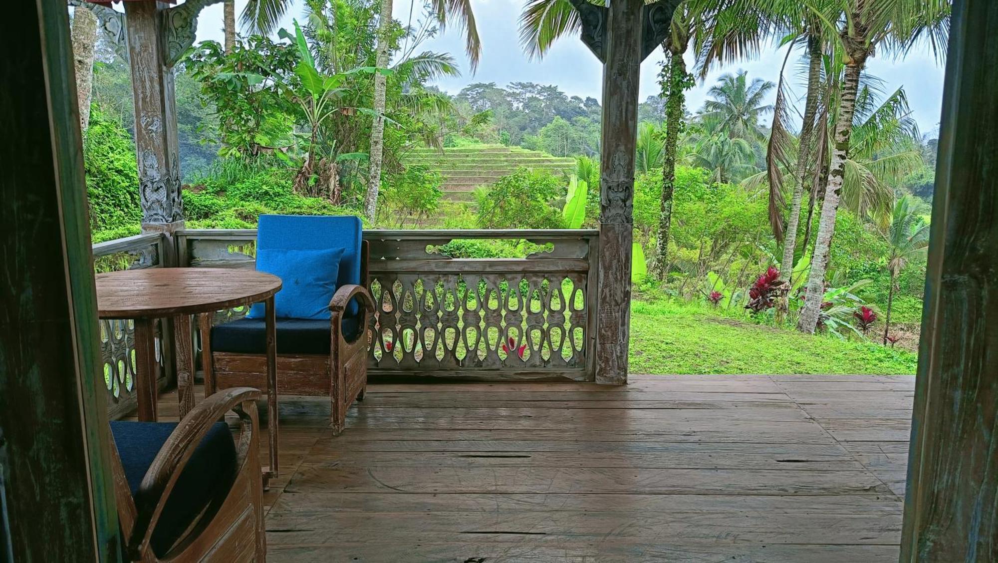 D'Ume Bendoel Homestay Jatiluwih Zewnętrze zdjęcie