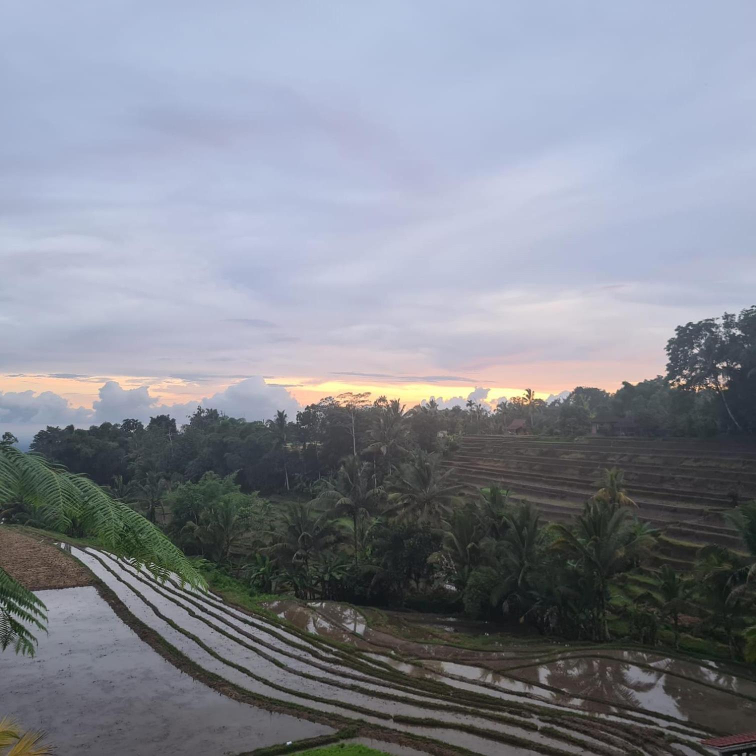 D'Ume Bendoel Homestay Jatiluwih Zewnętrze zdjęcie