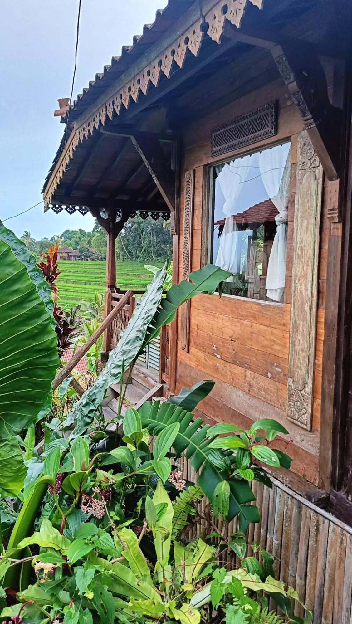 D'Ume Bendoel Homestay Jatiluwih Zewnętrze zdjęcie